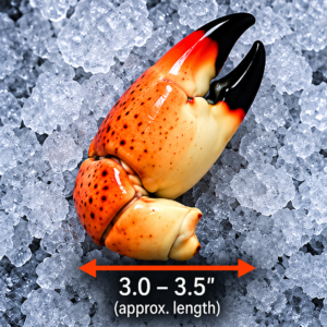 Medium Stone Crab Claws