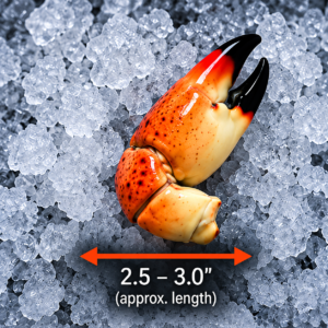 Colossal Stone Crab Claws