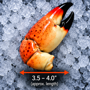 Large Stone Crab Claws